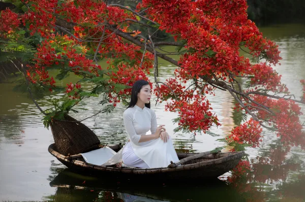 Ảnh Hoa Phượng