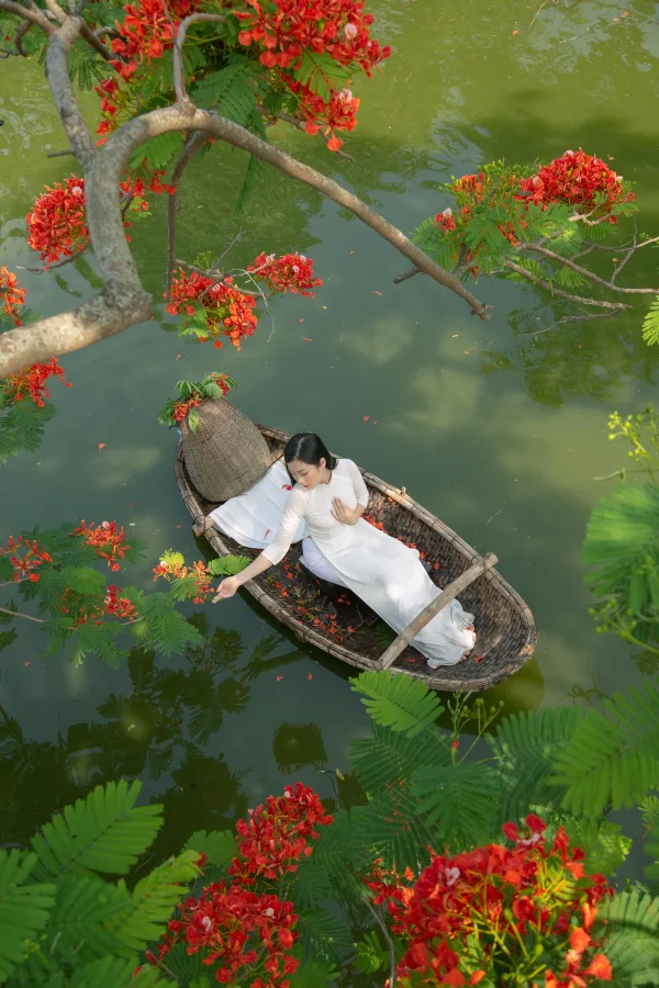 Ảnh Hoa Phượng