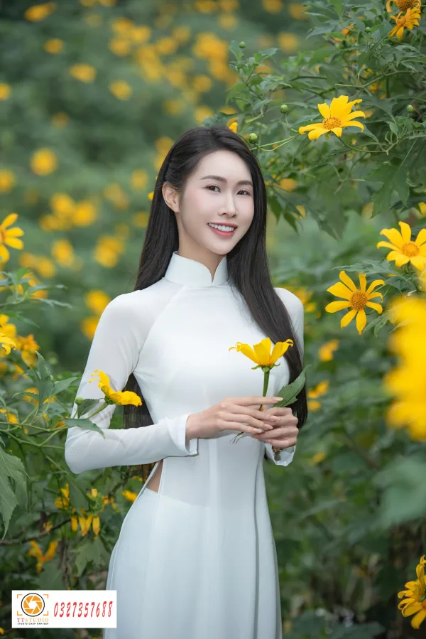 Ảnh áo dài với hoa dã quỳ