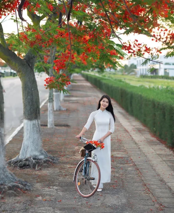 Ảnh áo dài với hoa phượng