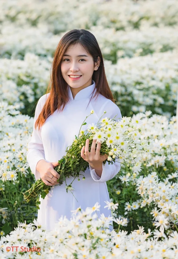 ảnh chụp cúc hoạ mi đẹp