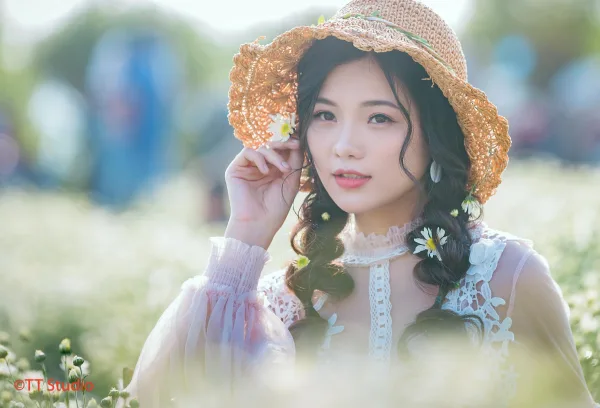 ảnh chụp cúc hoạ mi đẹp