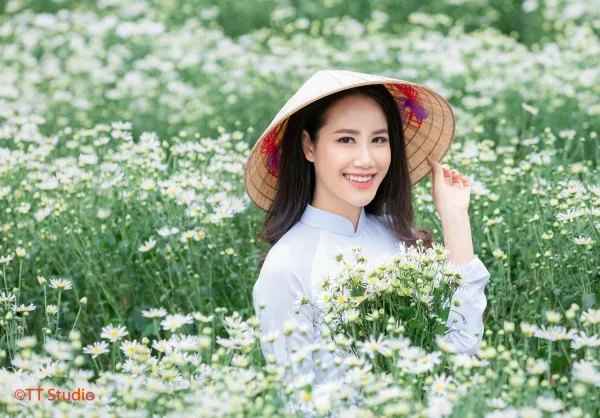 ảnh chụp cúc hoạ mi đẹp