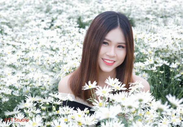 ảnh chụp cúc hoạ mi đẹp