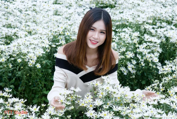 ảnh chụp cúc hoạ mi đẹp