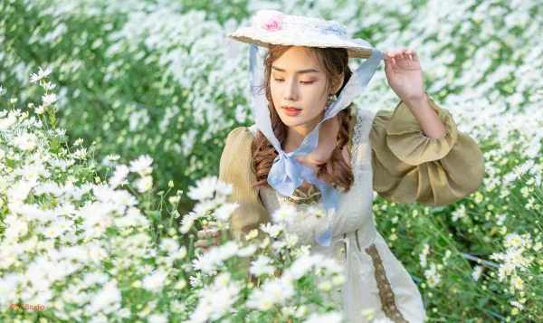 Hình ảnh cúc hoạ mi đẹp nhất