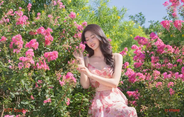 Chụp Ảnh Hoa Tường Vi Đẹp Hà Nội