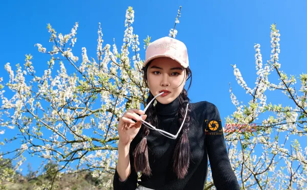 Ảnh hoa mận mộc châu