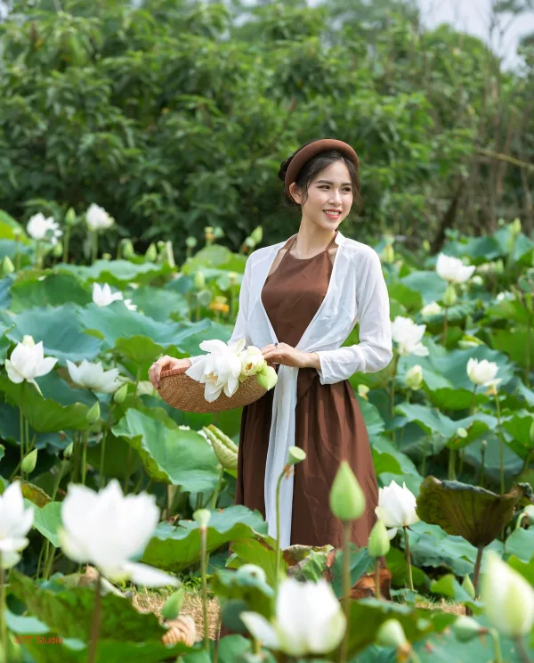 Sen trắng tam hưng
