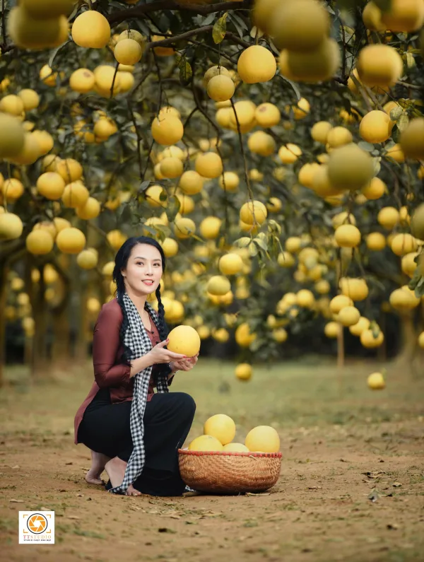 Chụp ảnh Check-in Vườn bưởi Diễn
