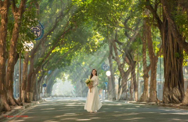 Ảnh mùa thu phố phan đình phùng