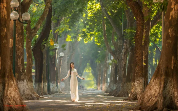 Những con đường đẹp nhất tháng Mười