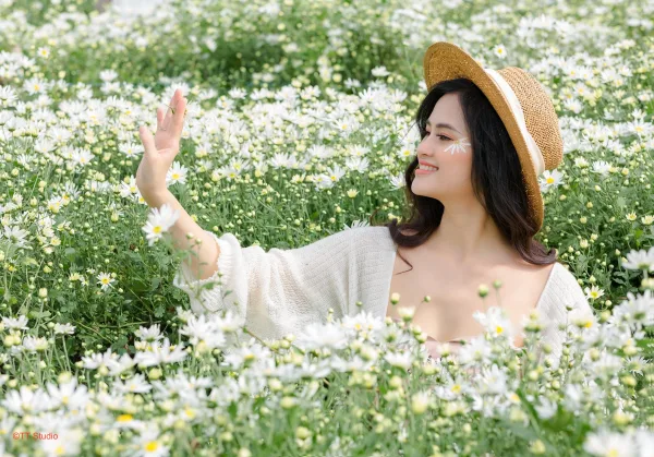 Chụp ảnh cúc hoạ mi đẹp