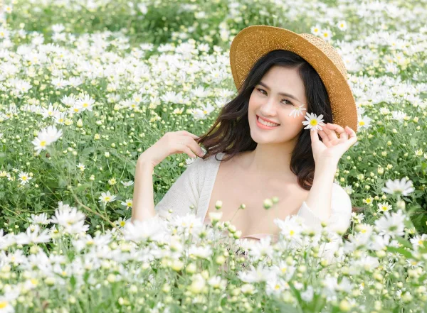 Chụp ảnh cúc hoạ mi đẹp
