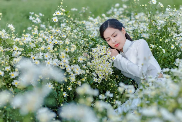 chụp ảnh cúc họa mi bãi đá sông hồng đẹp