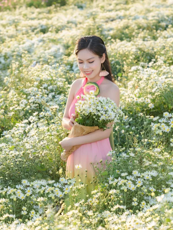 ảnh cúc họa mi bãi đá sông hồng Hà Nội