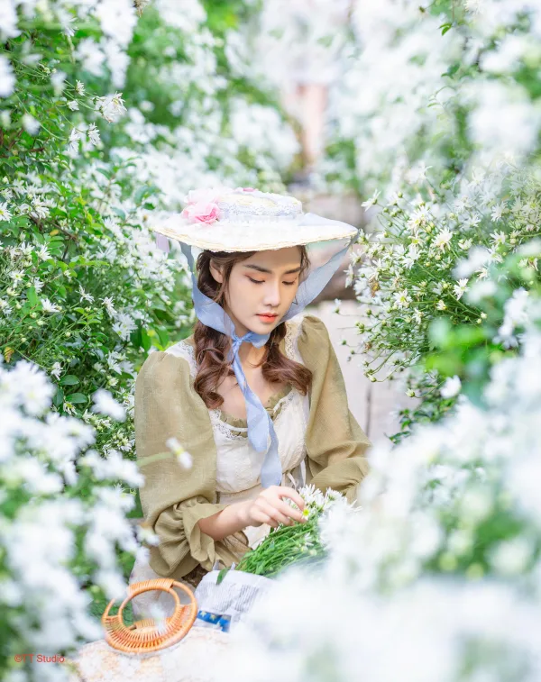Hình ảnh cúc hoạ mi đẹp nhất
