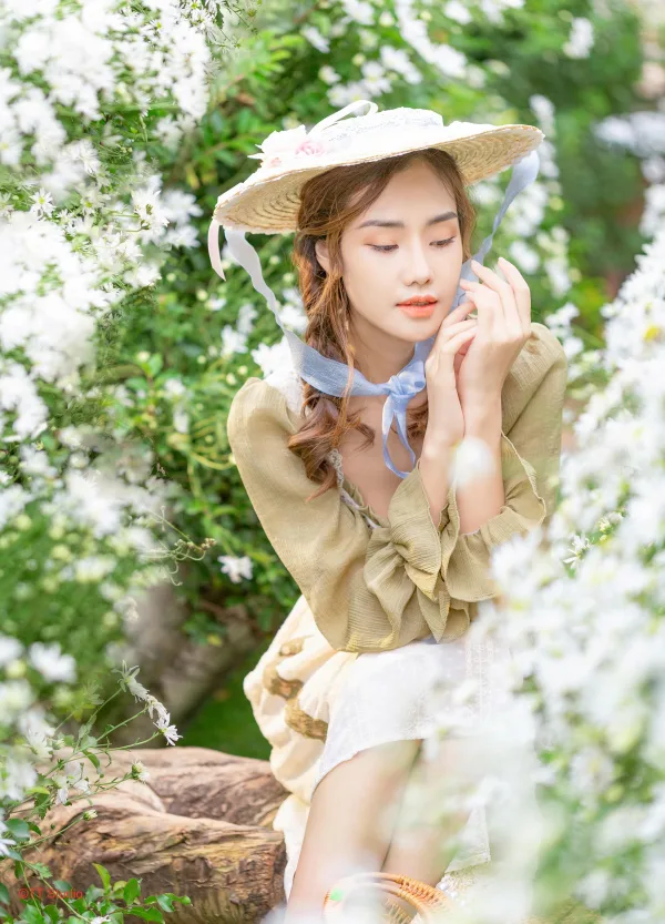 Hình ảnh cúc hoạ mi đẹp nhất