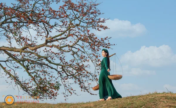 Hình ảnh Hoa Gạo