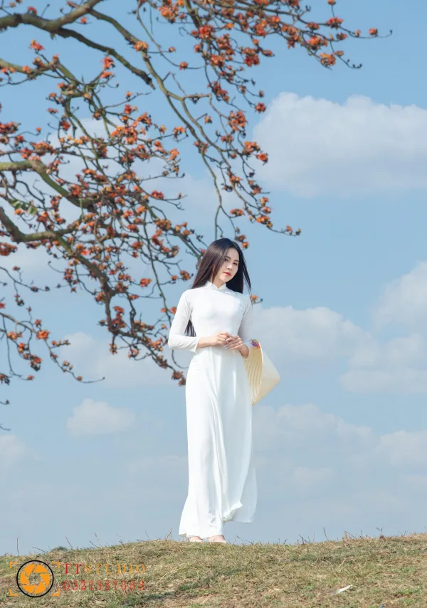 Hình ảnh Hoa Gạo