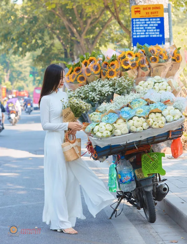 Hình ảnh xe hoa mùa thu Hà Nội