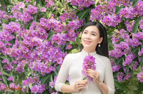 Chụp ảnh Hoa Bằng Lăng đẹp