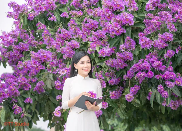 Chụp ảnh Hoa Bằng Lăng đẹp