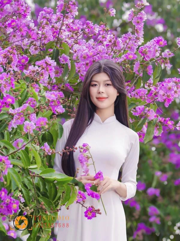 Hình ảnh hoa bằng lăng tím