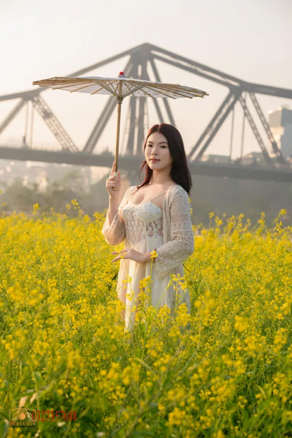 Ảnh hoa cải