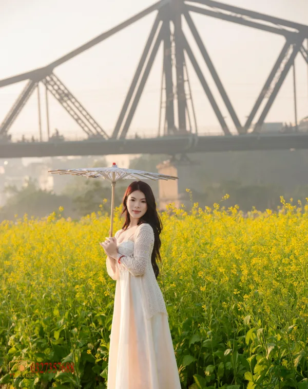 Ảnh hoa cải