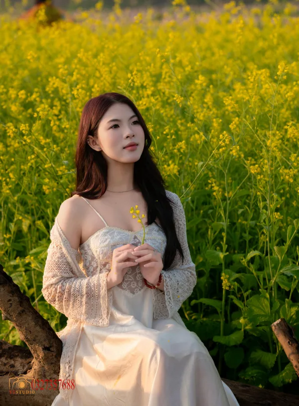 Ảnh hoa cải