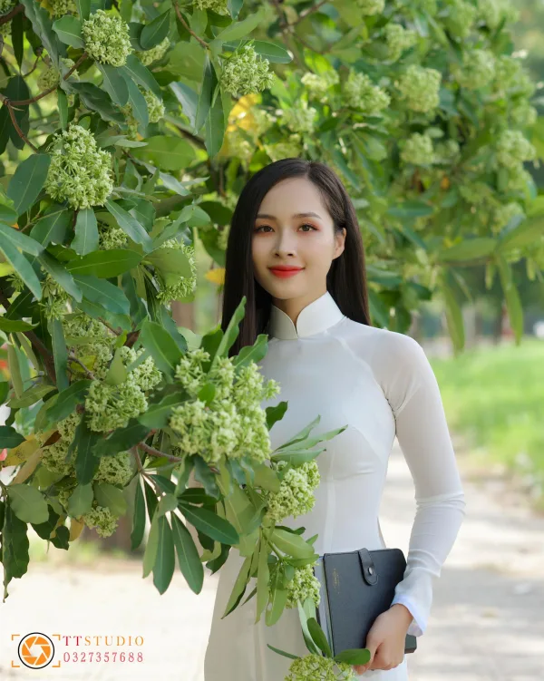 Hình ảnh hoa sữa mùa thu Hà Nội