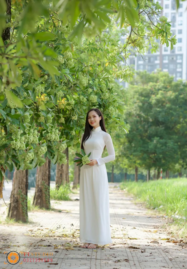 Hình ảnh hoa sữa mùa thu Hà Nội