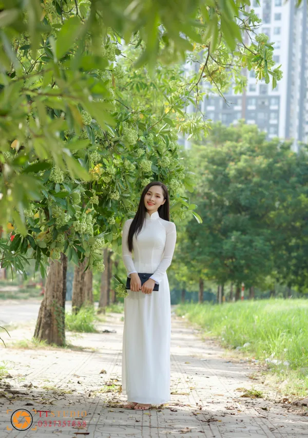 Hoa sữ mùa thu hà nội