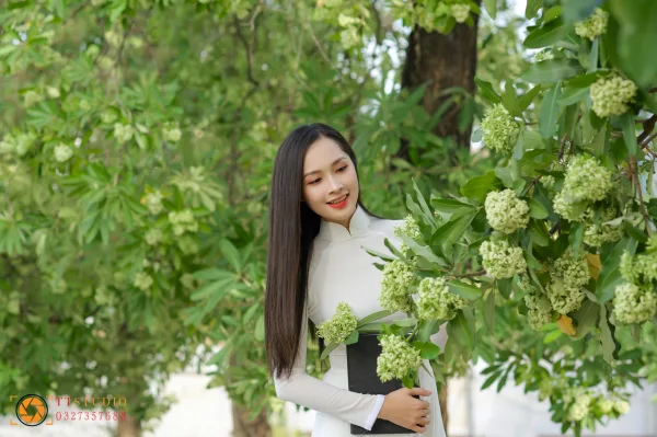 Hình ảnh hoa sữa mùa thu Hà Nội