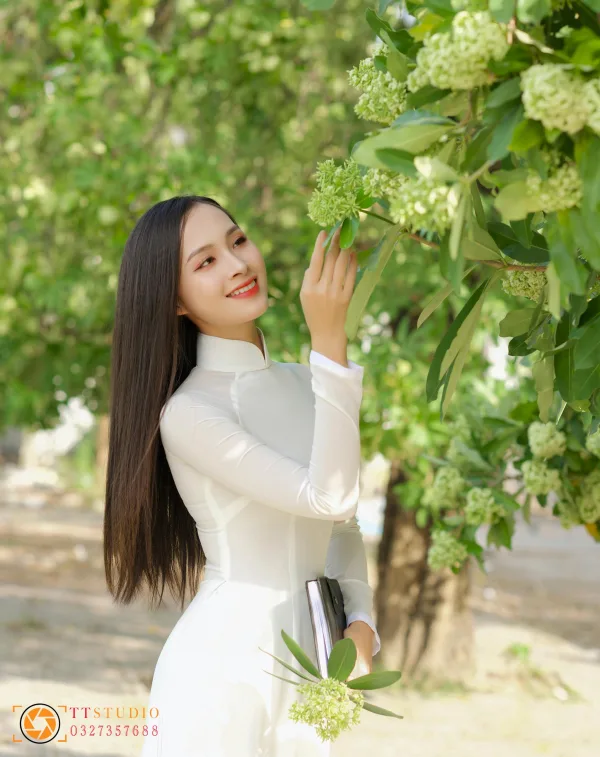 Hình ảnh hoa sữa mùa thu Hà Nội