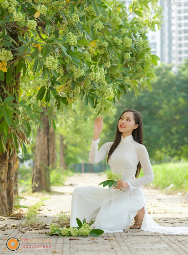Hình ảnh hoa sữa mùa thu Hà Nội