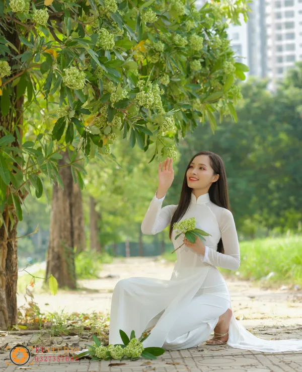 Hình ảnh hoa sữa mùa thu Hà Nội