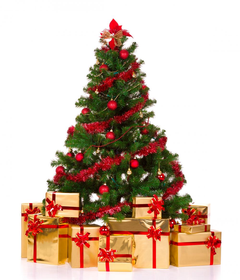 Chụp ảnh noel