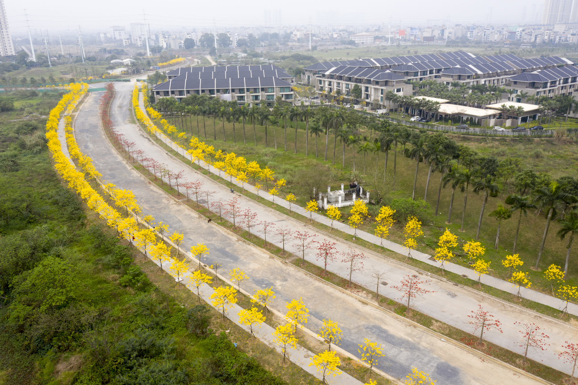 đường hoa phong linh hà nội