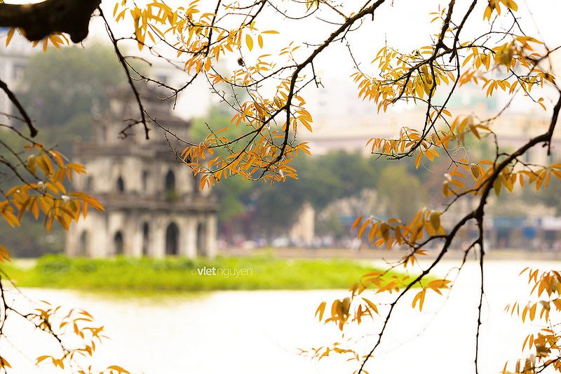 Ảnh mùa thu hà nội
