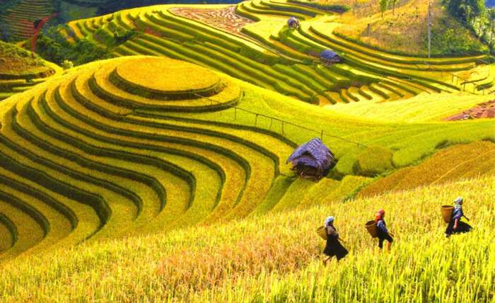 Mùa thu Hà Giang