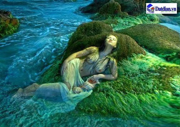 ảnh nghệ thuật dương quốc định